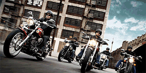 cruiser accessories